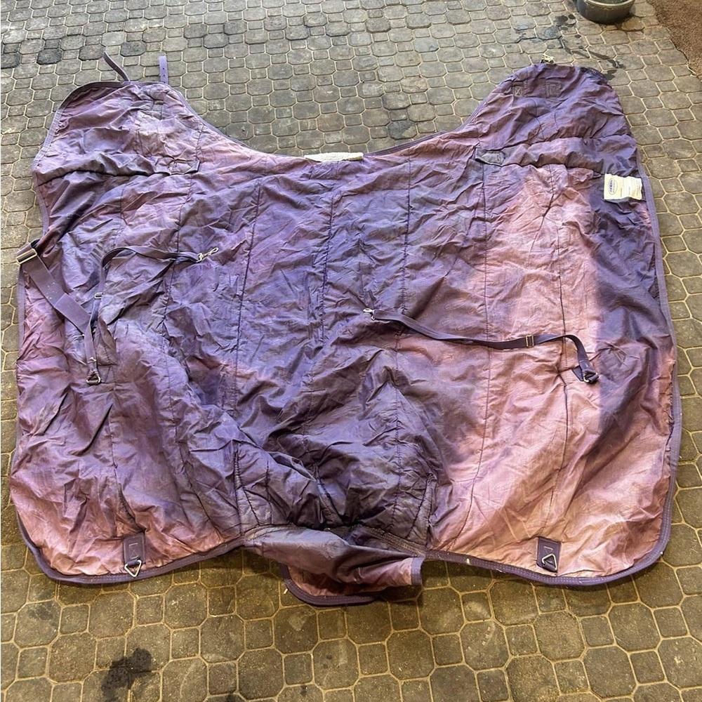 Wetherbeeta Mid-weight Turnout Blanket